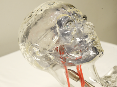 Bionic Humanoid