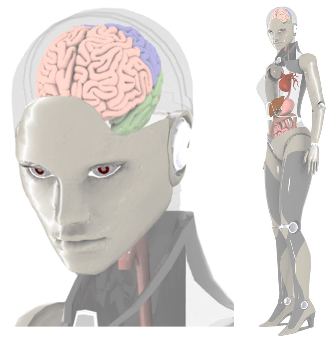 Arai_Lab_BionicPatient_20150805