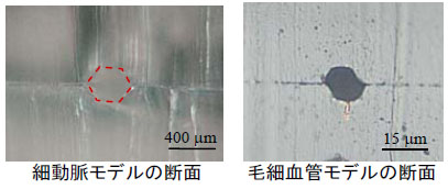 Robomec2008_nakano