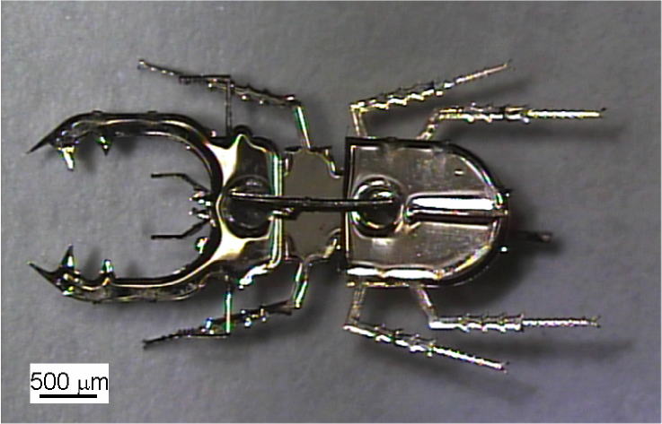 Robomec2008_narumi