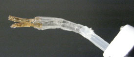 Robomec2011_Owaki