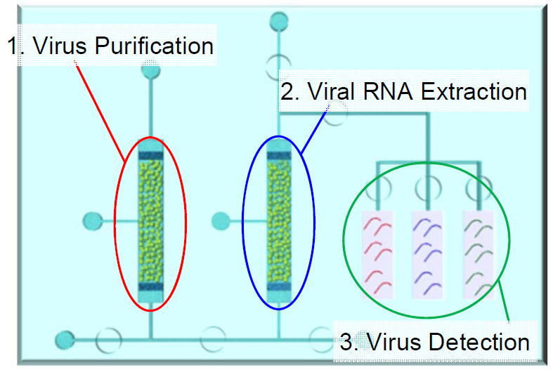 27th_cheminas_Niimi_virus