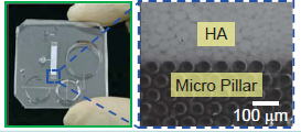 MicroTAS_niimi