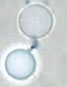 Robomec2011_Tomita
