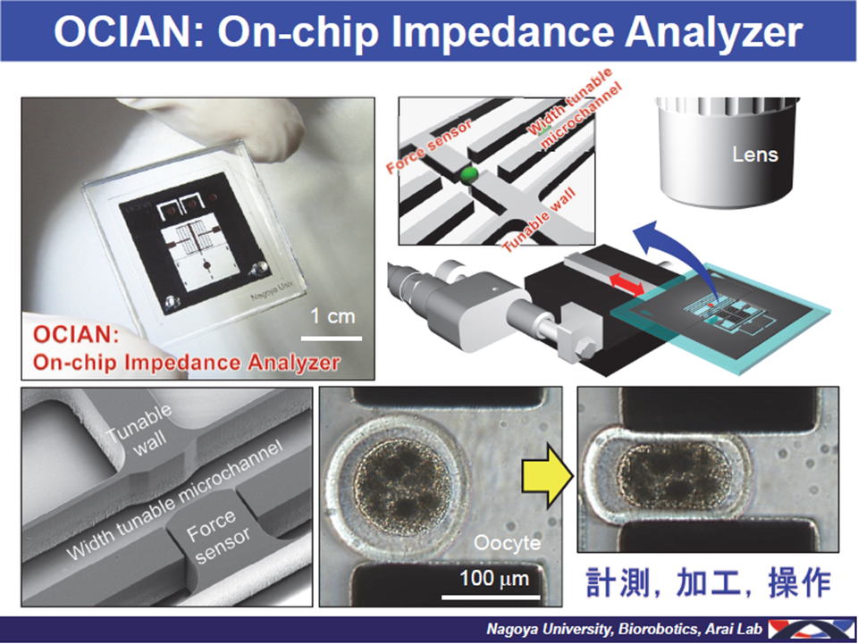 OCIAN: On-chip Impedance Analyzer